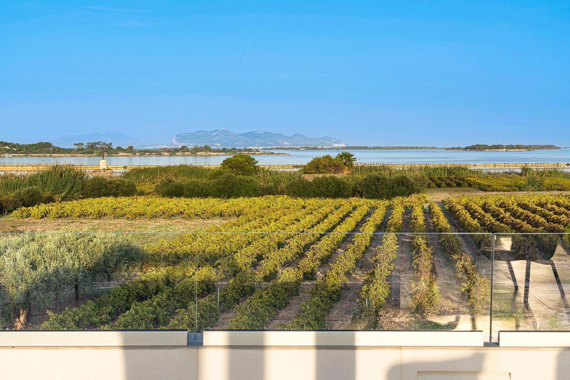 Martina'S Vineyard - Villa Marsala Extérieur photo